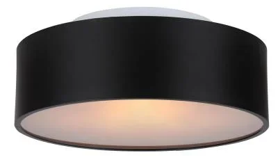 Two Light Flush Mount9038018