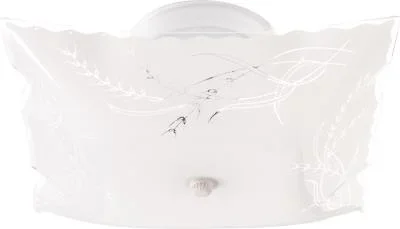 Two Light Flush Mount907962
