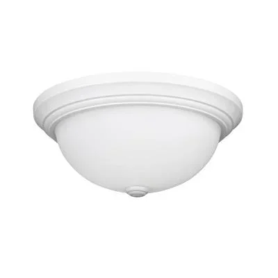 Two Light Flushmount6670733