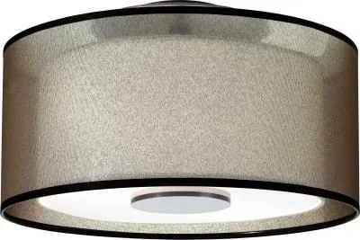 Two Light Flushmount816283