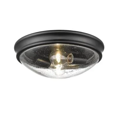 Two Light Flushmount878389