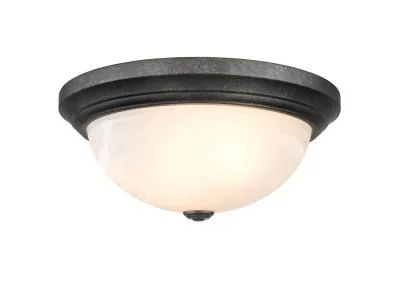 Two Light Flushmount9981541