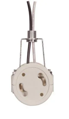Two Light G24 Socket W/Hickey2223088
