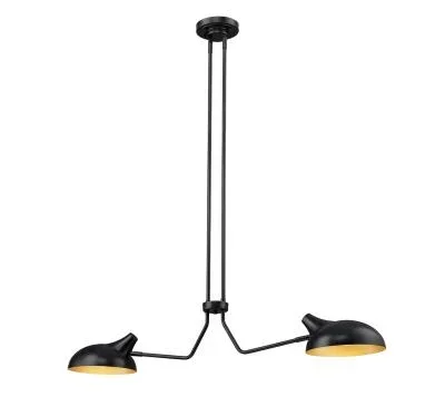 Two Light Linear Chandelier4377004
