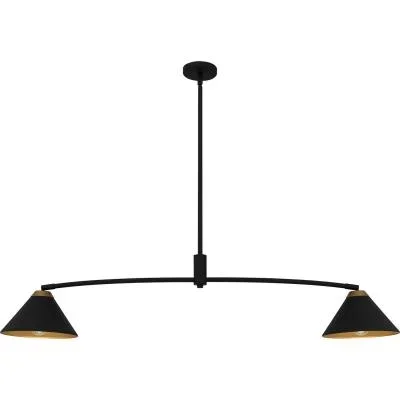 Two Light Linear Chandelier4894102