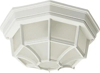 Two Light Outdoor Ceiling Mount431224