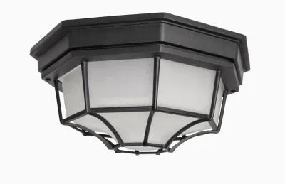 Two Light Outdoor Ceiling Mount575989
