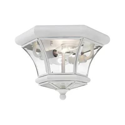 Two Light Outdoor Ceiling Mount639020