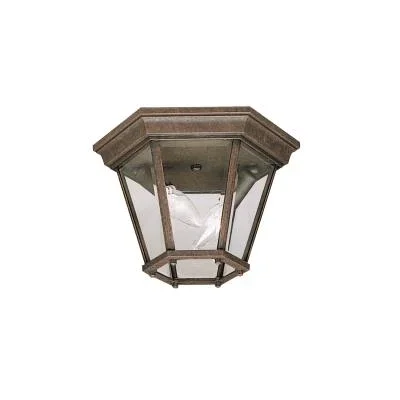 Two Light Outdoor Ceiling Mount639572