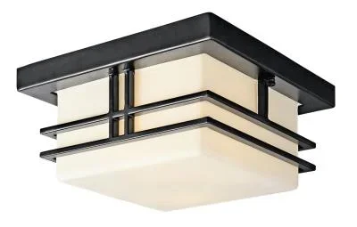 Two Light Outdoor Ceiling Mount831481