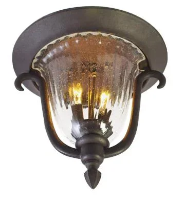 Two Light Outdoor Flush Mount223055