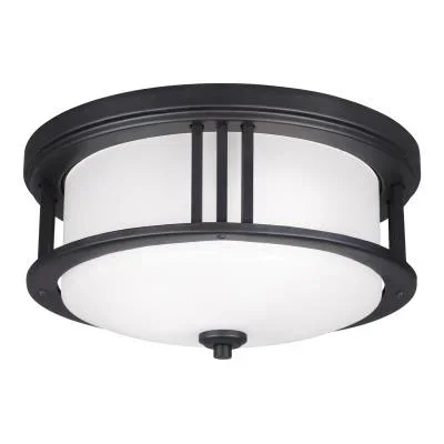 Two Light Outdoor Flush Mount806481