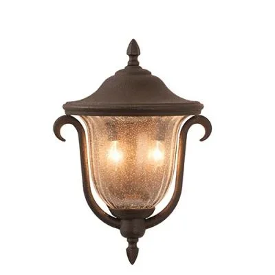 Two Light Outdoor Porch Light4892423