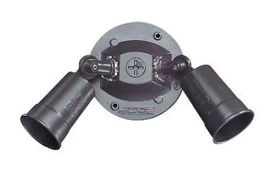 Two Light PAR Holder271826