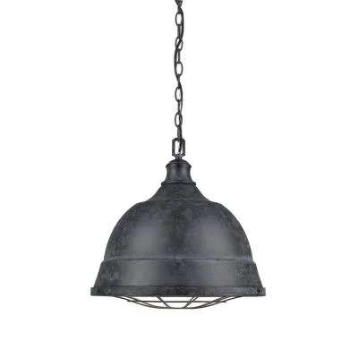 Two Light Pendant258119