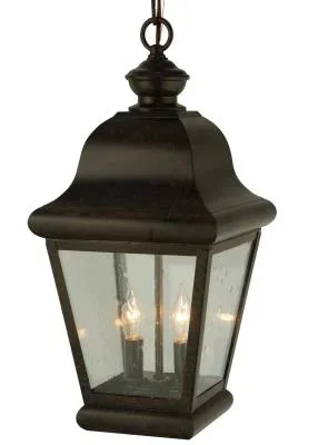 Two Light Pendant299852