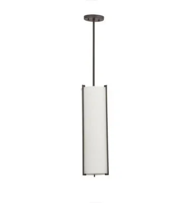 Two Light Pendant3150291