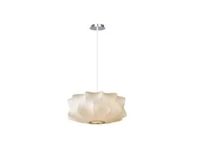 Two Light Pendant317801