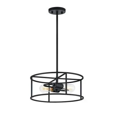 Two Light Pendant437635