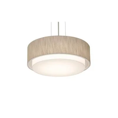 Two Light Pendant4549432