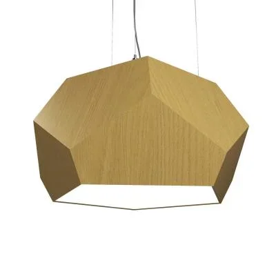 Two Light Pendant8166944