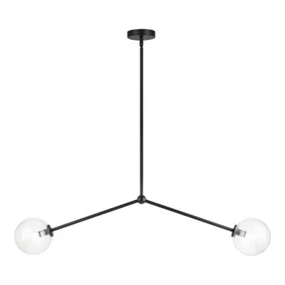 Two Light Pendant8876101
