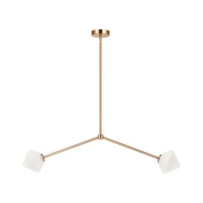 Two Light Pendant8876110