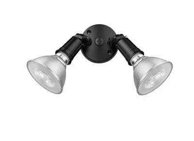 Two Light Security Flood Light3849752