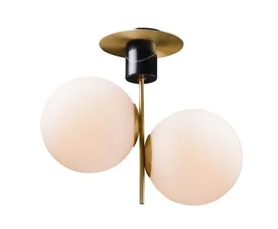 Two Light Semi-Flush Mount811792