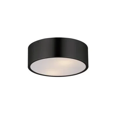 Two Light Surface Mount4849335