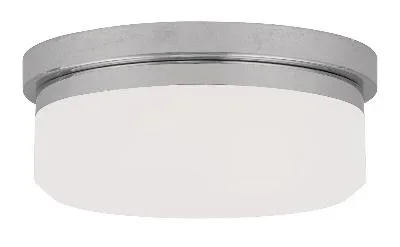 Two Light Wall Sconce/Ceiling Mount005848