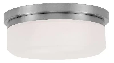 Two Light Wall Sconce/Ceiling Mount556943
