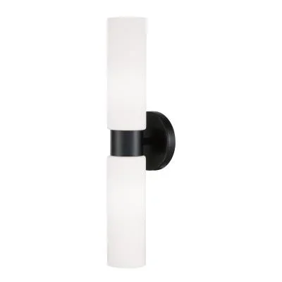 Two Light Wall Sconce2504969