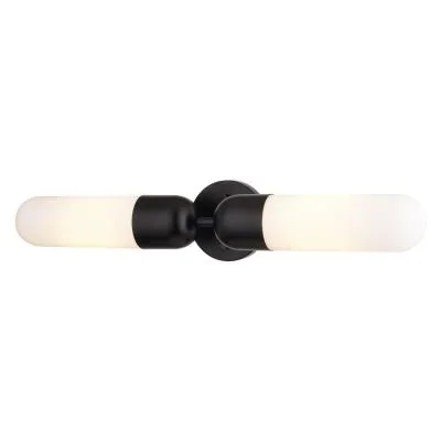 Two Light Wall Sconce3222536