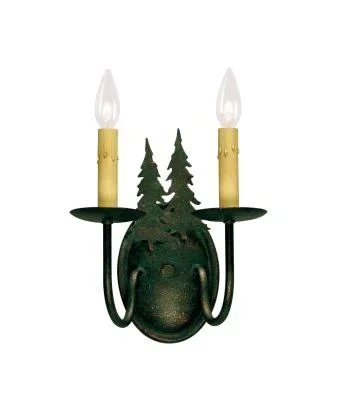Two Light Wall Sconce551769