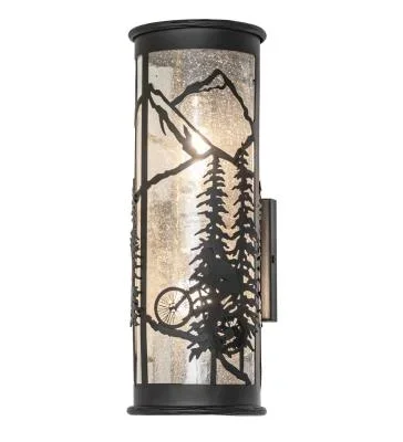 Two Light Wall Sconce6411943