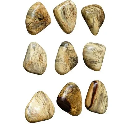 Wall Decor, S/98283713