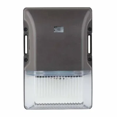 Wall Pack2210203