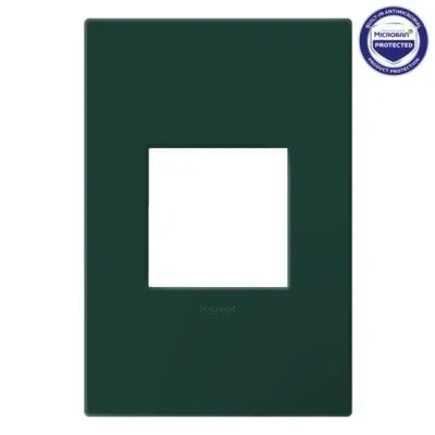 Wall Plate2963015